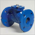 125mm Ball Check Valves with Lift Device