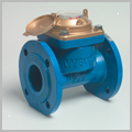 Paddle-type water meter for commerce and irrigation
